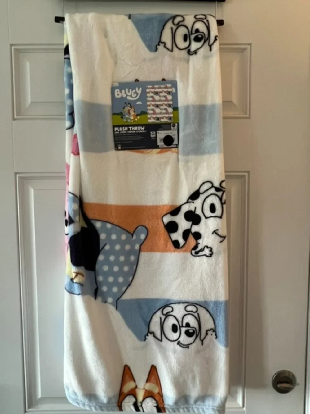 BLUEY SLEEPOVER BLANKET